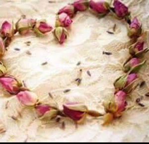 Meet your Posher, Randa